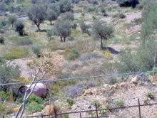Land For Sale Close To Agia Galini -.. - 2