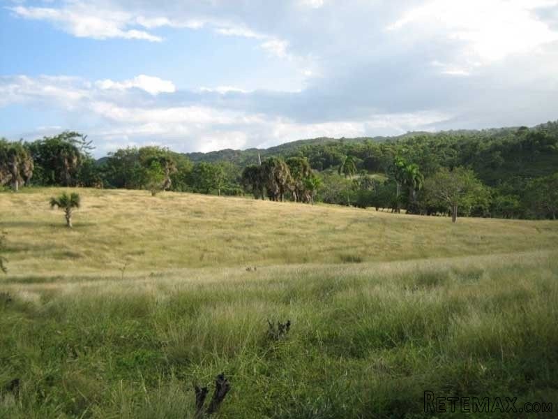 Beautiful Farmland In Cabarete For Sale