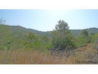 A beautiful flat plot with 360 degree views over the Jalon..