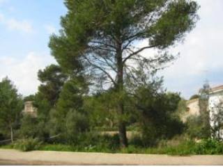Plot, about 600 metres to the sea