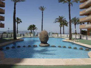 3 Bedrooms - Apartment - Murcia - For..