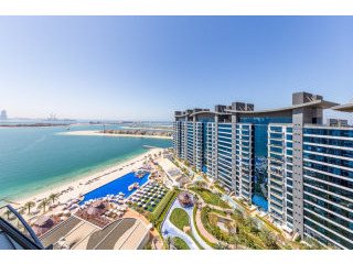 Would you like to have a WOW at The Palm