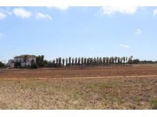 Finca near beaches that could be..