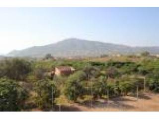 Plot, Alicante (Costa Blanca), Alfaz..