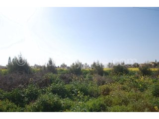 - Land - Paphos - For Sale