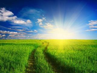 Exclusivity - Terrain for sale -..