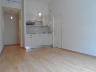 Newly renovated apartment in Musiciens
