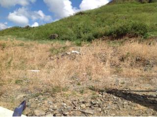 Dutch St. Maarten Saint Martin For Sale..