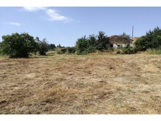 Ruin With Land Near Ferreira do Zezere