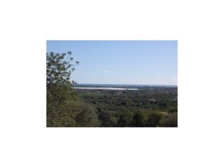 Plot, Tavira › Luz De Tavira E Santo E..