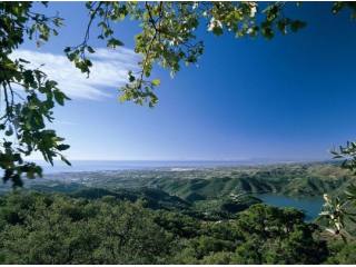 Building Plot for sale in Sierra Blanca..