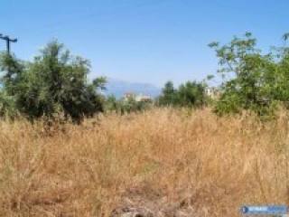 Crete Land For Sale Within The Village..