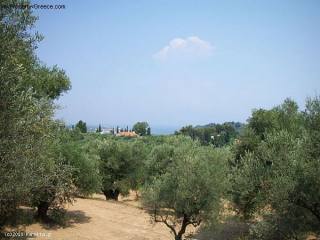 Land - Zakynthos - For Sale