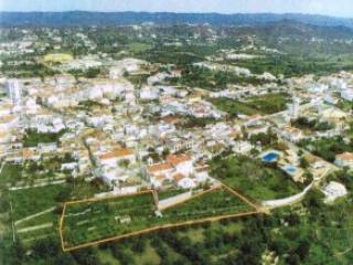 For Sale: Plot In Central Algarve..
