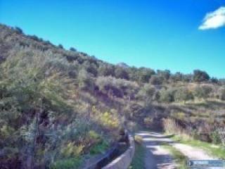 Farming Land For Sale - Close To..