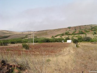 Plot With Approved Project For Sale..