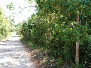 Singlefamilyvacant - Lubbers Quarters..