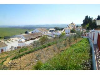Yeguada cuadra Finca Andalucia Chiclana..