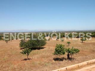 Plot with a view over the Alcudia valley