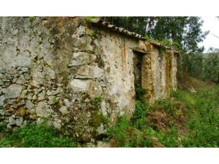 Nice Farmhouse with 4.000 m2. Only 3 km..