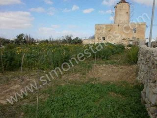 Land / Fields,