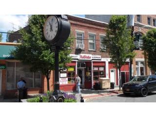 Commercial For Sale: Ardsley, New York