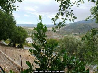 Finca for sale in Alora, Malaga, Spain