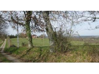 Montesquiou , Gers , Midi-pyrenees -..