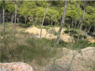 Plot In Javea