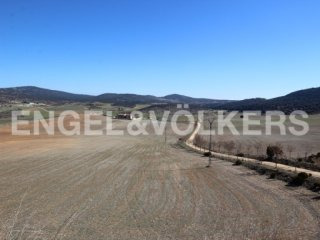 Spectacular Hunting Estate In The..