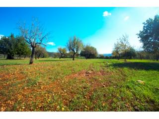 Large Plot With Privacy And Easy Access..