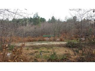 27269 - Vente - Terrain - Vergt