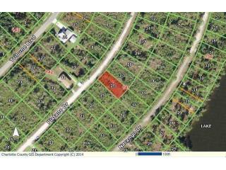 Land For Sale: 12098 Platano Dr, Punta..
