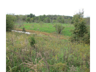 80+/- acres farm land, MO hunting with..