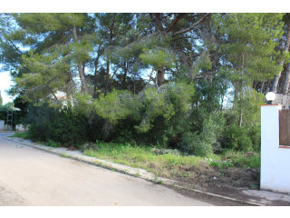 Plot in Javea