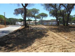 Plots of land in luxurious location