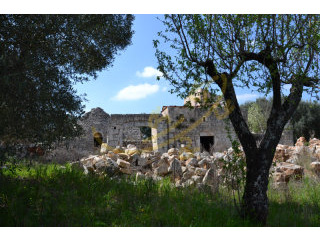 Grezzo C.da Rosatella, Castellana Grotte