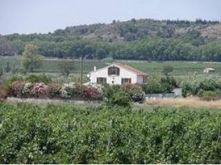 Pretty Country House With 177 M² Living..