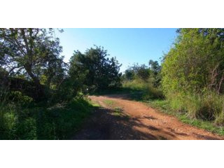 0 Bedroom 0 Bathroom Plot in Javea.