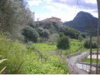 - Land - For Sale