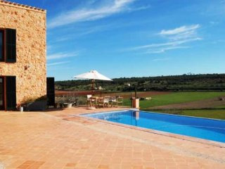Modern Stone Country House With Nice..