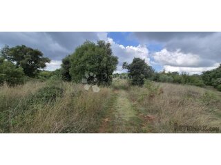 Poljoprivredno zemljište Kavran-1296 m2