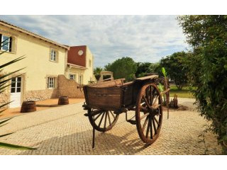 Fabulous Farm Near Lagos