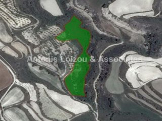 11,037 m2 Agricultural field in Tsada
