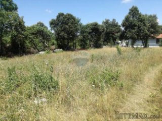 Istra,Pavićini -negrađevinsko vikend zemljište