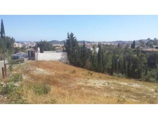 Land - Investment. Two plots in Campo..