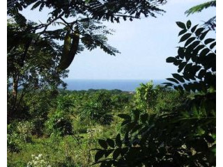 Sosua Lot In Hacienda El Choco