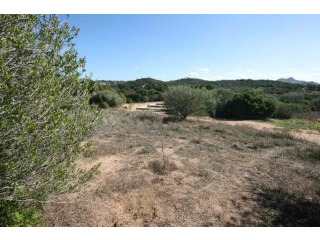 Land with permission in Sardinia -..