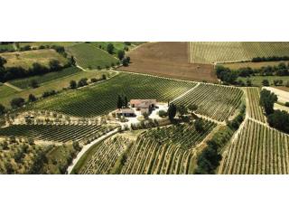 Farm For Sale: Montepulciano
