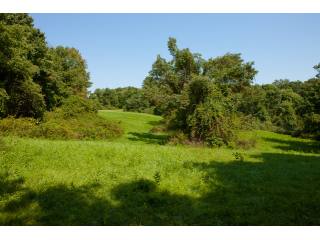 Land For Sale: Union Vale, New York